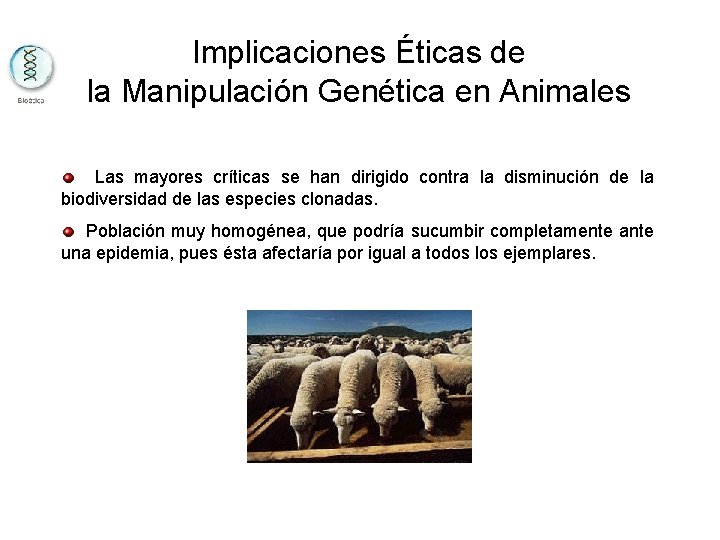 Implicaciones Éticas de la Manipulación Genética en Animales Las mayores críticas se han dirigido