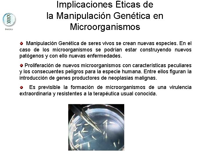 Implicaciones Éticas de la Manipulación Genética en Microorganismos Manipulación Genética de seres vivos se