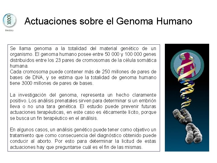 Actuaciones sobre el Genoma Humano Se llama genoma a la totalidad del material genético