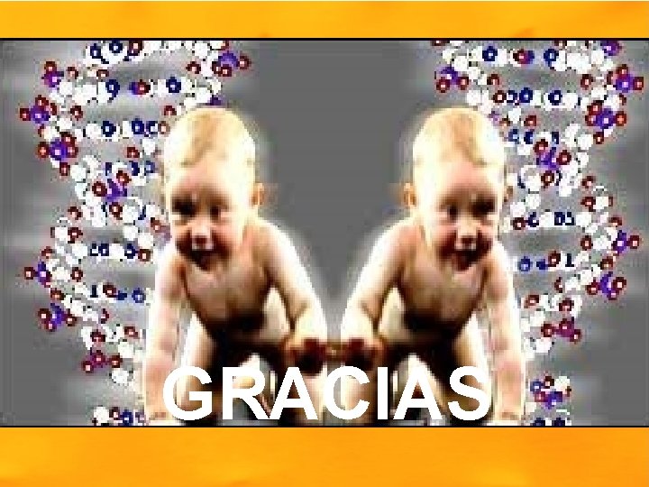 GRACIAS 