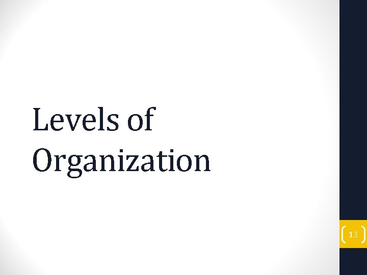 Levels of Organization 13 