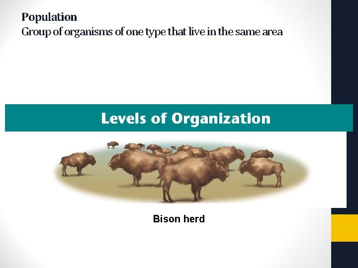 Copyright Pearson Prentice Hall Population Group of organisms of one type that live in