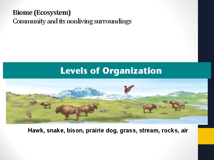 Copyright Pearson Prentice Hall Biome (Ecosystem) Community and its nonliving surroundings Hawk, snake, bison,