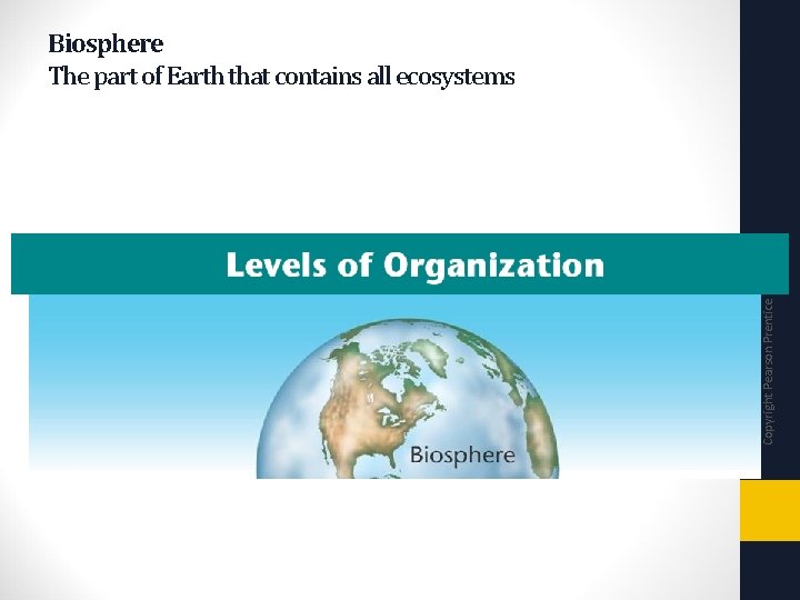 Copyright Pearson Prentice Hall Biosphere The part of Earth that contains all ecosystems 
