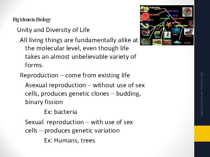 Unity and Diversity of Life All living things are fundamentally alike at the molecular