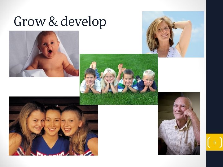 Grow & develop 6 