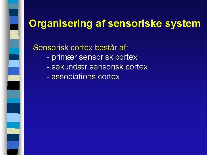 Organisering af sensoriske system Sensorisk cortex består af: - primær sensorisk cortex - sekundær