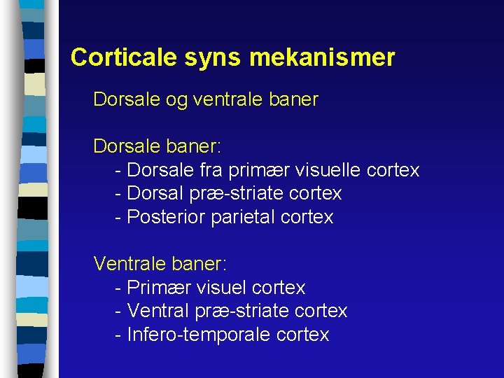 Corticale syns mekanismer Dorsale og ventrale baner Dorsale baner: - Dorsale fra primær visuelle