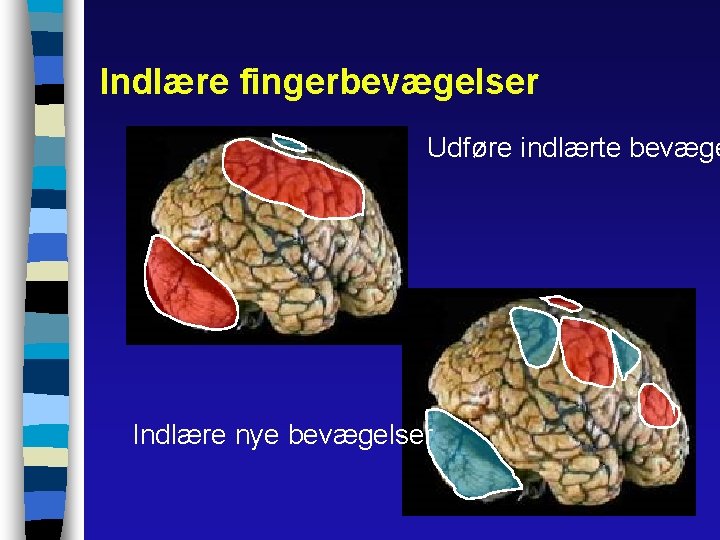 Indlære fingerbevægelser Udføre indlærte bevæge Indlære nye bevægelser 