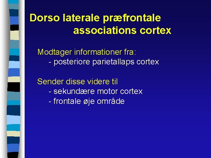 Dorso laterale præfrontale associations cortex Modtager informationer fra: - posteriore parietallaps cortex Sender disse