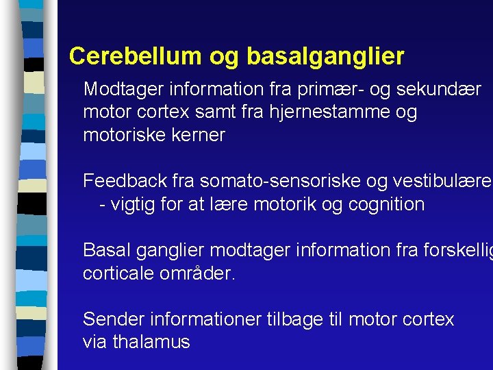 Cerebellum og basalganglier Modtager information fra primær- og sekundær motor cortex samt fra hjernestamme