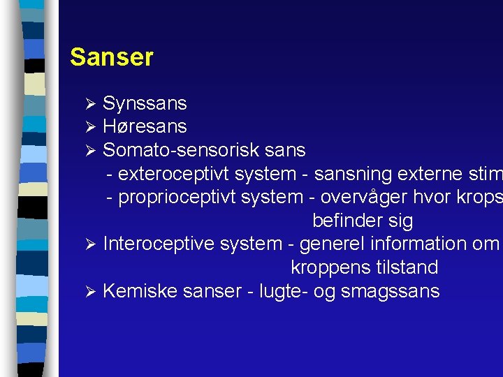 Sanser Synssans Høresans Somato-sensorisk sans - exteroceptivt system - sansning externe stim - proprioceptivt