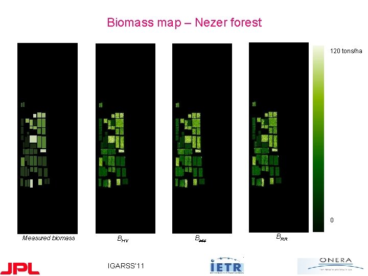 Biomass map – Nezer forest 120 tons/ha 0 Measured biomass BHV IGARSS’ 11 BHV