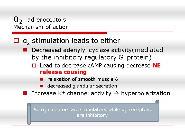 α 2– adrenoceptors Mechanism of action o α 2 stimulation leads to either n