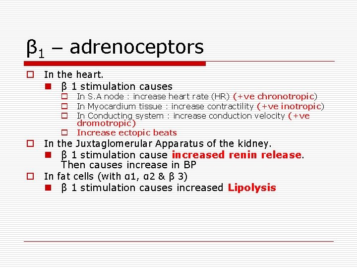 β 1 – adrenoceptors o In the heart. n β 1 stimulation causes o