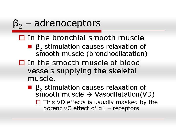 β 2 – adrenoceptors o In the bronchial smooth muscle n β 2 stimulation