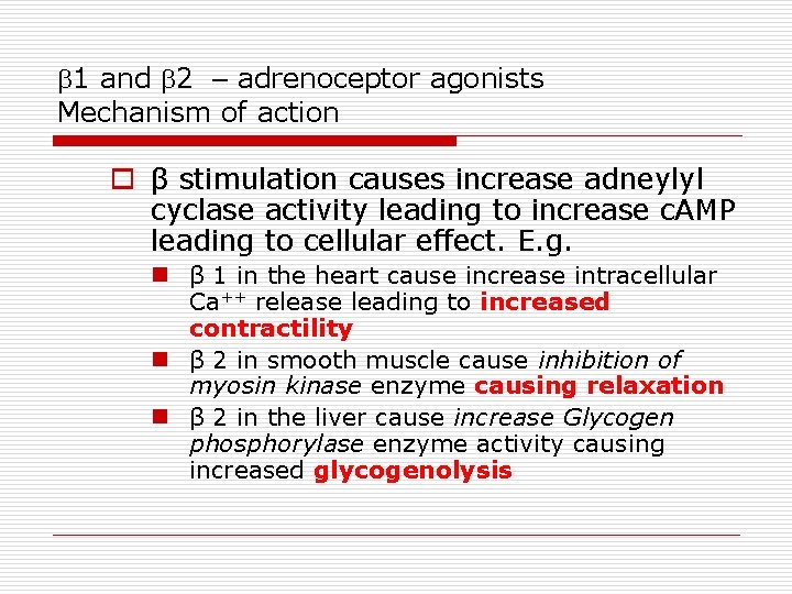 b 1 and b 2 – adrenoceptor agonists Mechanism of action o β stimulation
