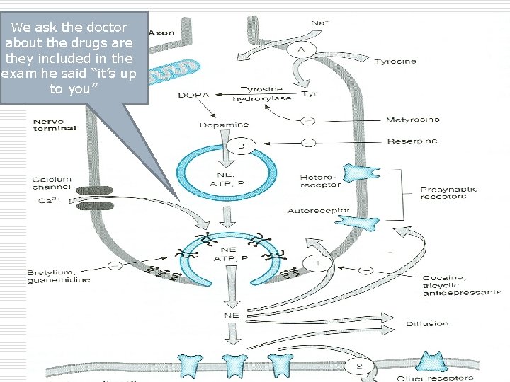 We ask the doctor about the drugs are they included in the exam he