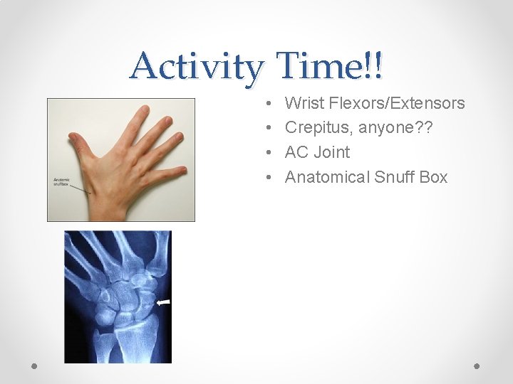 Activity Time!! • • Wrist Flexors/Extensors Crepitus, anyone? ? AC Joint Anatomical Snuff Box