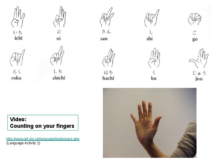 Video: Counting on your fingers http: //www. jpf. org. uk/language/tasterpack. php (Language Activity 2)