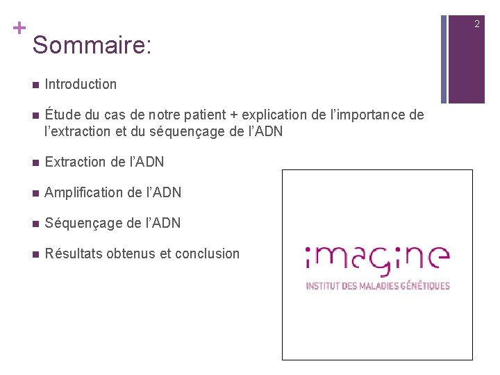 + 2 Sommaire: n Introduction n Étude du cas de notre patient + explication