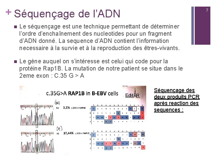 + Séquençage de l’ADN 7 n Le séquençage est une technique permettant de déterminer