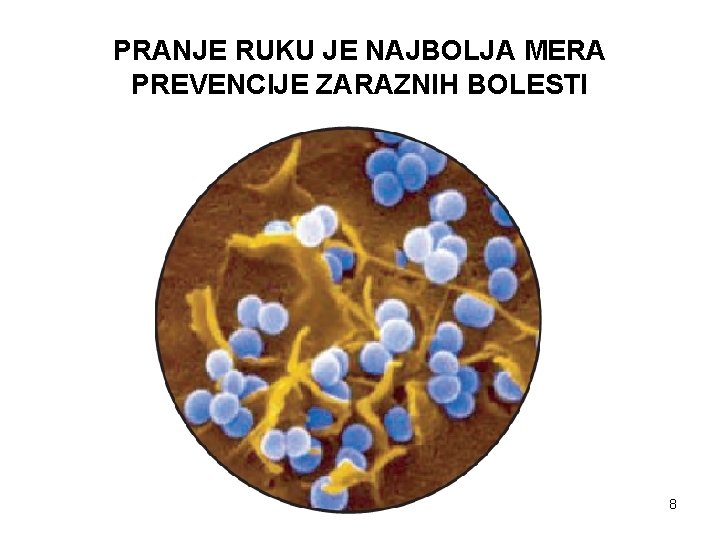 PRANJE RUKU JE NAJBOLJA MERA PREVENCIJE ZARAZNIH BOLESTI Asistent dr Milka Popović 8 