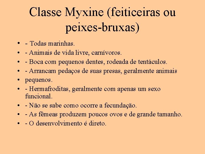 Classe Myxine (feiticeiras ou peixes-bruxas) • - Todas marinhas. • • • - Animais