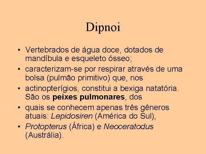 Dipnoi • Vertebrados de água doce, dotados de mandíbula e esqueleto ósseo; • caracterizam-se