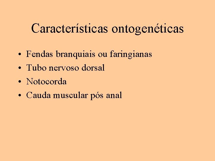 Características ontogenéticas • • Fendas branquiais ou faringianas Tubo nervoso dorsal Notocorda Cauda muscular