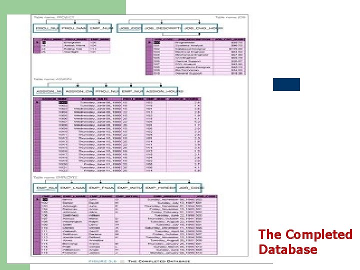 The Completed Database 