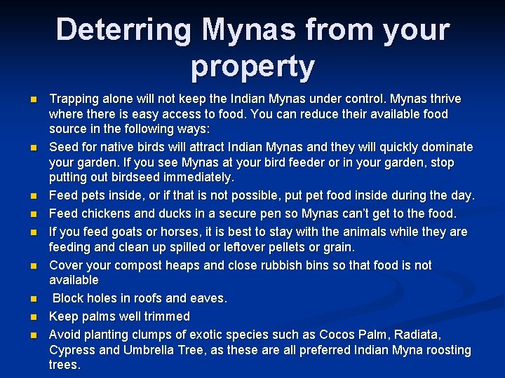 Deterring Mynas from your property n n n n n Trapping alone will not