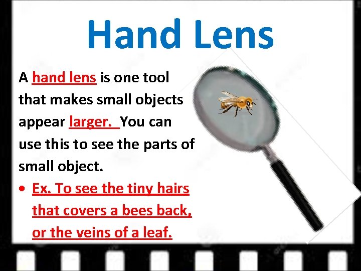 Hand Lens A hand lens is one tool that makes small objects appear larger.