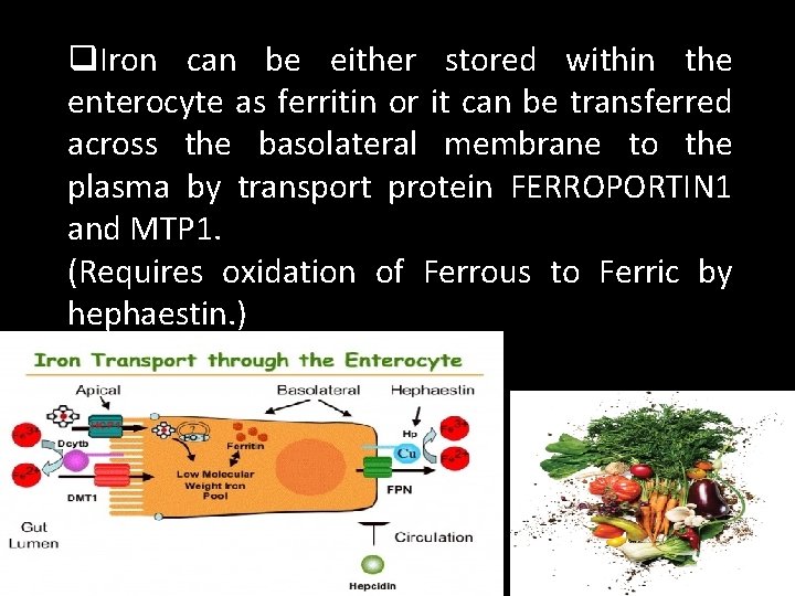 q. Iron can be either stored within the enterocyte as ferritin or it can