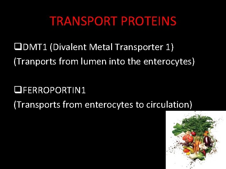 TRANSPORT PROTEINS q. DMT 1 (Divalent Metal Transporter 1) (Tranports from lumen into the