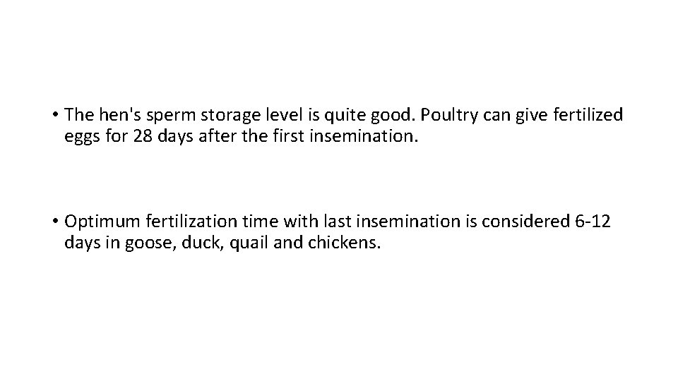 • The hen's sperm storage level is quite good. Poultry can give fertilized • The hen's sperm storage level is quite good. Poultry can give fertilized