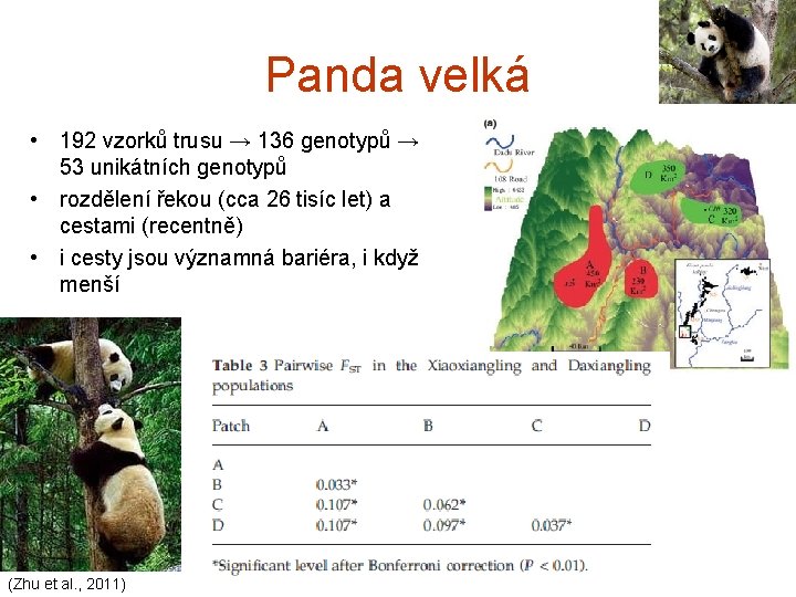 Panda velká • 192 vzorků trusu → 136 genotypů → 53 unikátních genotypů •