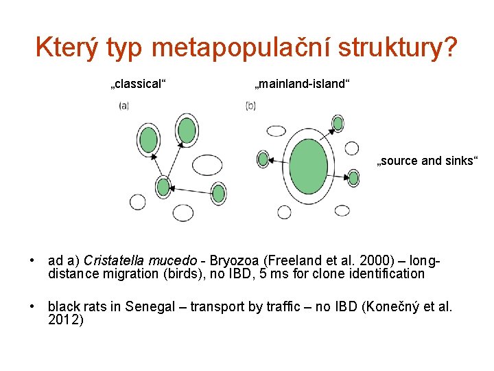 Který typ metapopulační struktury? „classical“ „mainland-island“ „source and sinks“ • ad a) Cristatella mucedo