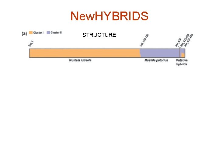 New. HYBRIDS STRUCTURE NEWHYBRIDS 