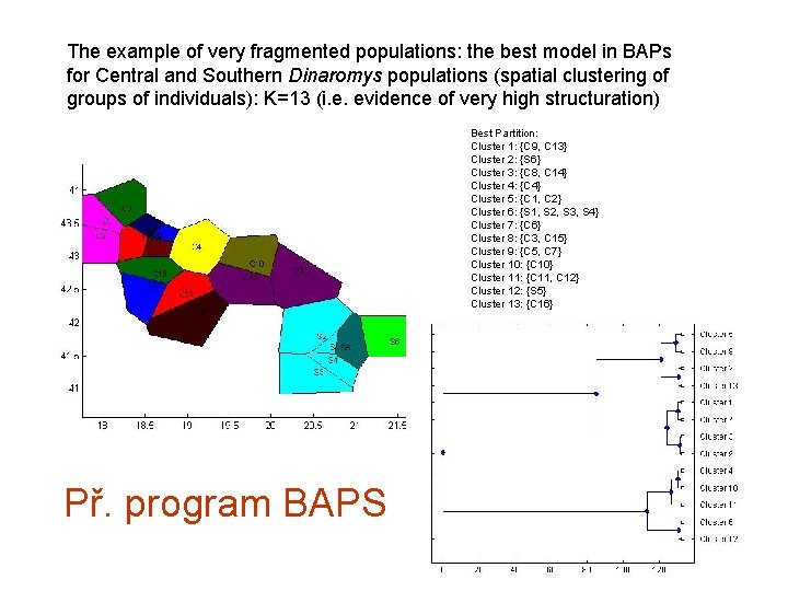 The example of very fragmented populations: the best model in BAPs for Central and