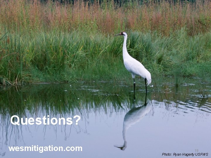 Questions? wesmitigation. com 19 Photo: Ryan Hagerty USFWS 