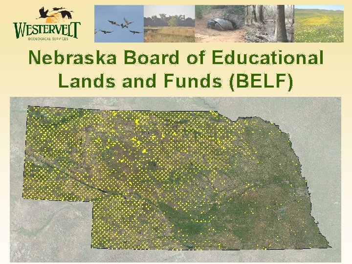 Nebraska Board of Educational Lands and Funds (BELF) 3 