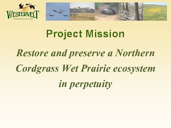 Project Mission Restore and preserve a Northern Cordgrass Wet Prairie ecosystem in perpetuity 