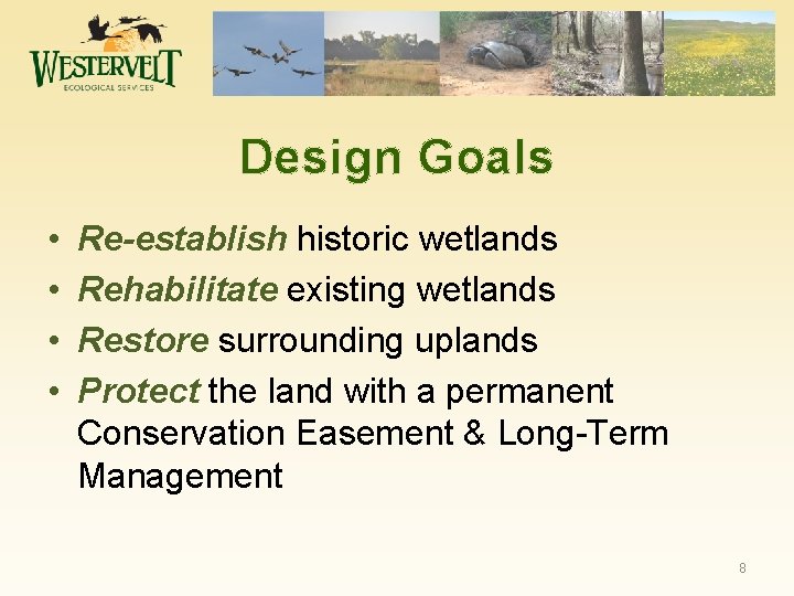 Design Goals • • Re-establish historic wetlands Rehabilitate existing wetlands Restore surrounding uplands Protect