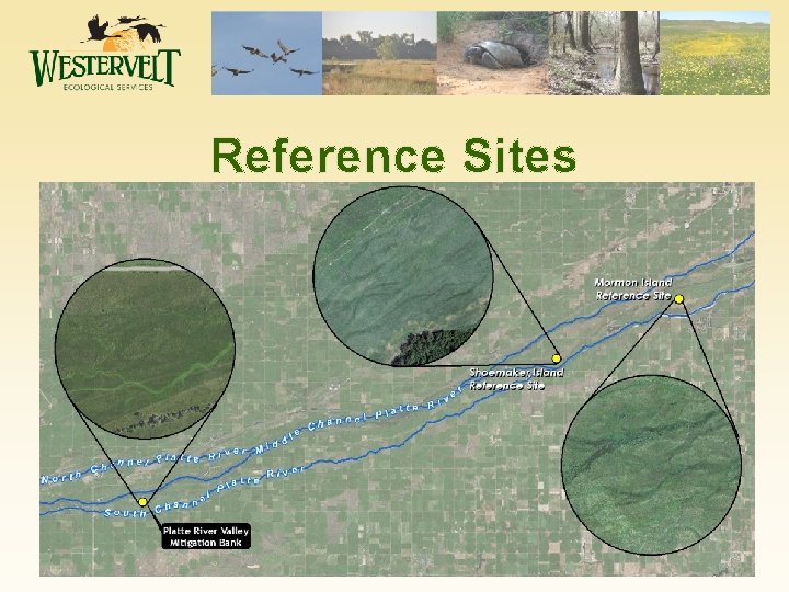 Reference Sites 9 