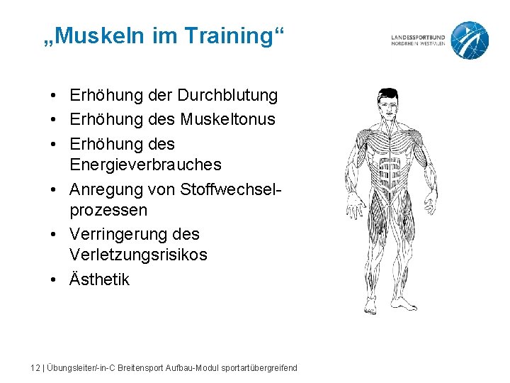 „Muskeln im Training“ • Erhöhung der Durchblutung • Erhöhung des Muskeltonus • Erhöhung des