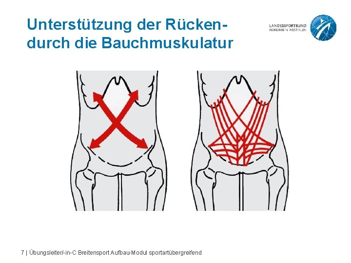 Unterstützung der Rückendurch die Bauchmuskulatur 7 | Übungsleiter/-in-C Breitensport Aufbau-Modul sportartübergreifend 