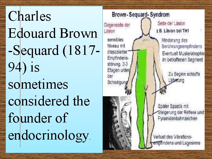 Charles Edouard Brown -Sequard (181794) is sometimes considered the founder of endocrinology. 