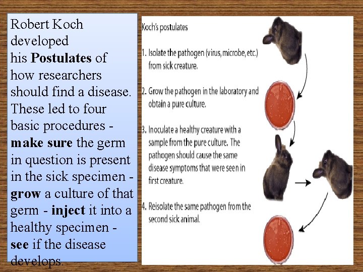 Robert Koch developed his Postulates of how researchers should find a disease. These led