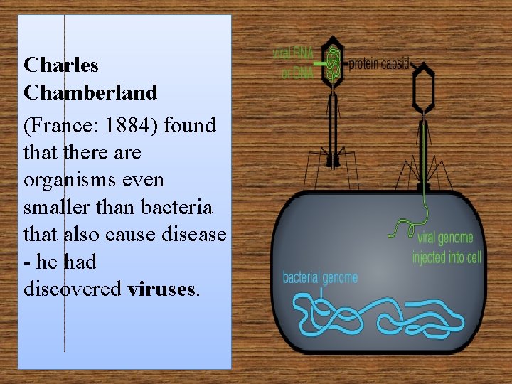 Charles Chamberland (France: 1884) found that there are organisms even smaller than bacteria that